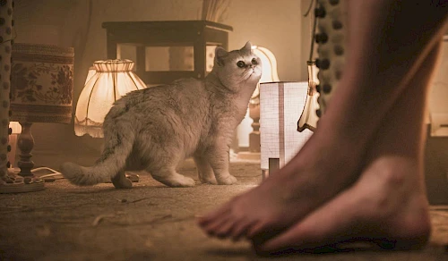 foto David Konečný