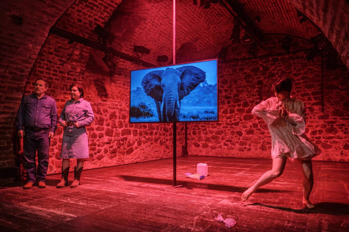 foto David Konečn&yacute;