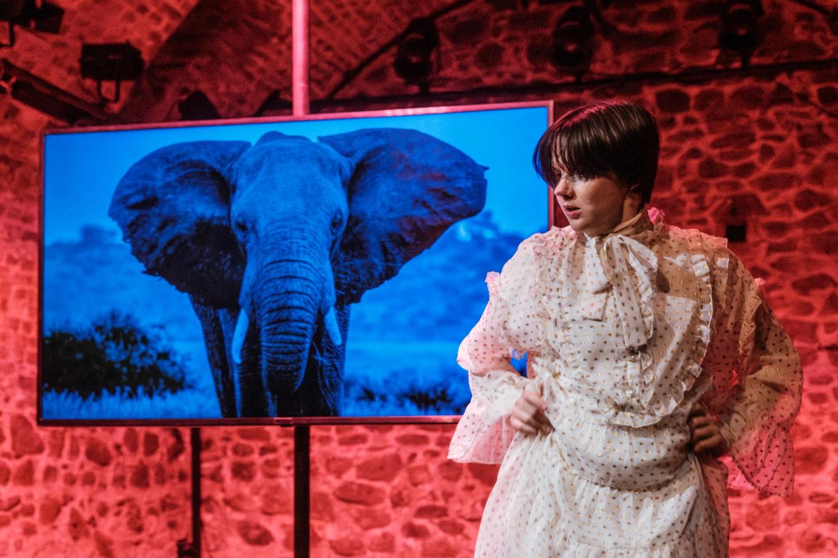 foto David Konečn&yacute;