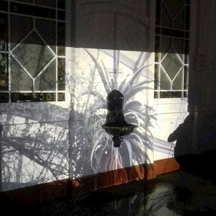 Vzbuďme Vary, D&iacute;rkovan&eacute; kino, foto Tereza Dvoř&aacute;kov&aacute;