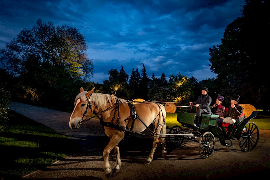 Foto: Hynek Glos